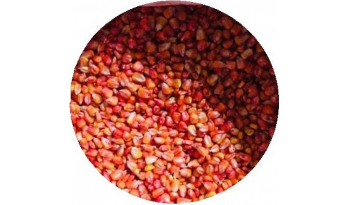 Семена кормовой кукурузы Дебрецени 1 кг Венгрия