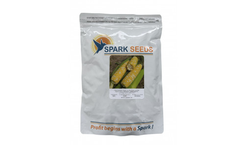 Насіння Кукурудзи цукрової біколор Дефендер F1 2500н Spark Seeds