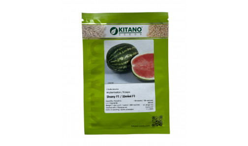 Насіння Кавуна Шейні (КС 163) 100н Kitano Seeds