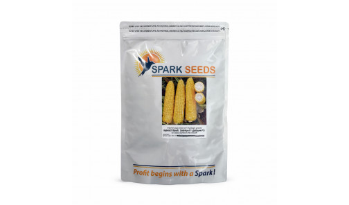 Насіння Кукурудзи Добриня F1 2500шт Spark Seeds