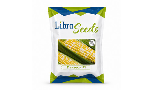 Насіння Кукурудзи Пантеон F1 1000 шт Libra Seeds