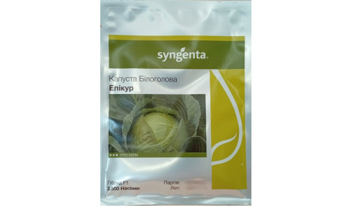Насіння капусти Епікур2500 н. Syngenta