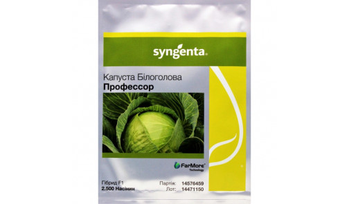 Насіння капусти Професор F1 2500Н. Syngenta
