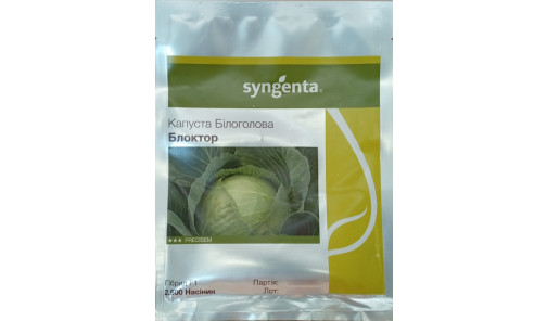 Насіння Капусти Блоктор F1 20 н. Syngenta